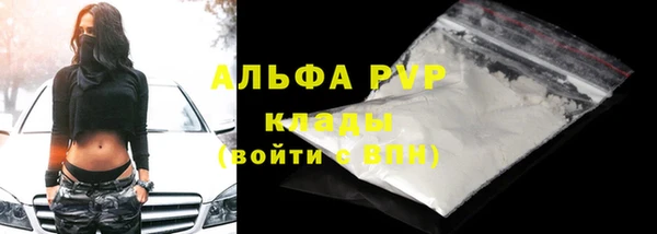 гашик Сатка