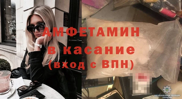 шишки Саяногорск