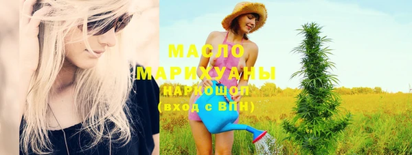 шишки Саяногорск