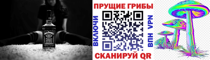 Купить где  Самара  Галлюциногенные грибы Psilocybine cubensis 